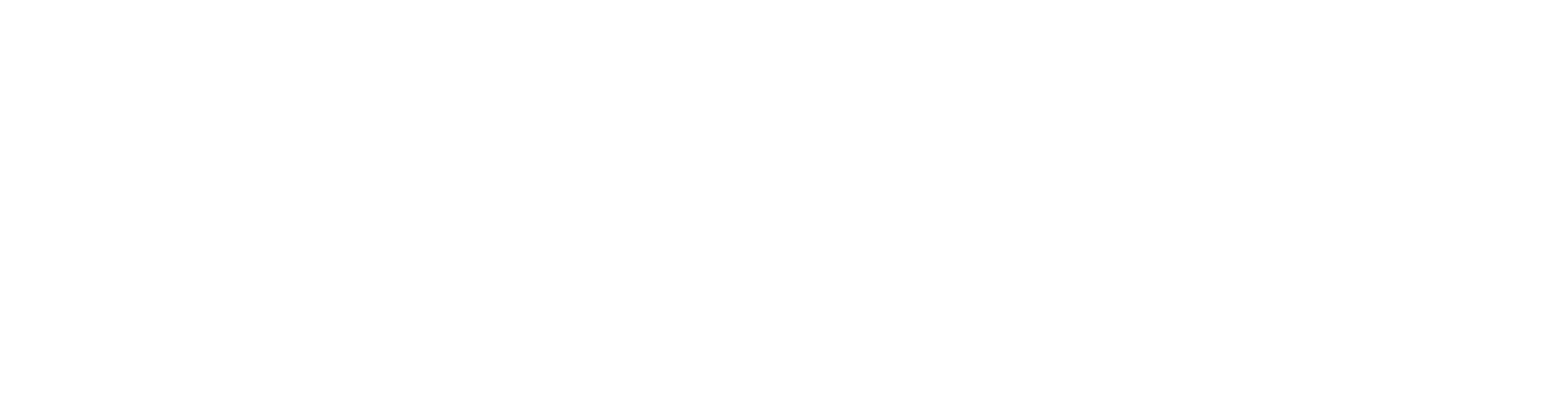 binsarikugham_logo_white