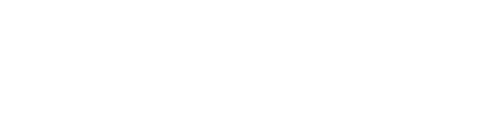 binsarikugham_logo_white